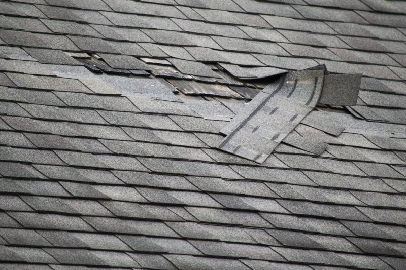Edge Shingle Repair